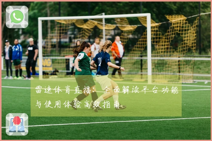 雷速体育直播：全面解读平台功能与使用体验高效指南